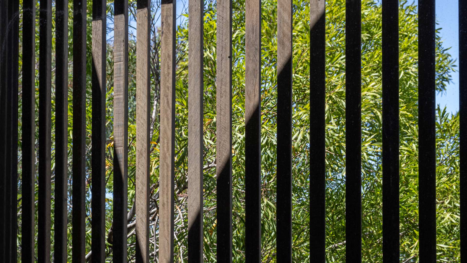 Embracing Biophilic Design in Passivhaus
