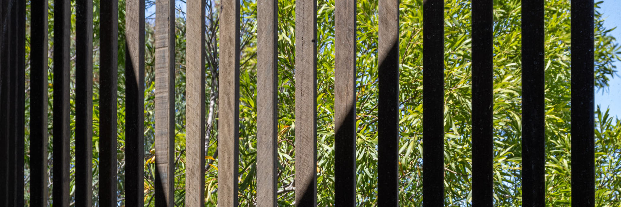 Embracing Biophilic Design in Passivhaus